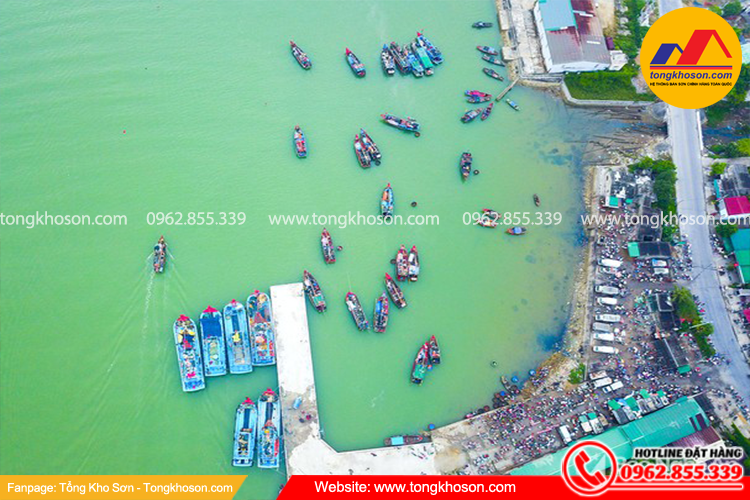 Công dụng của sơn tàu, thuyền tại Nghệ An