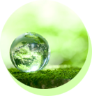 ưu điểm của sơn chống nóng Agreencoat