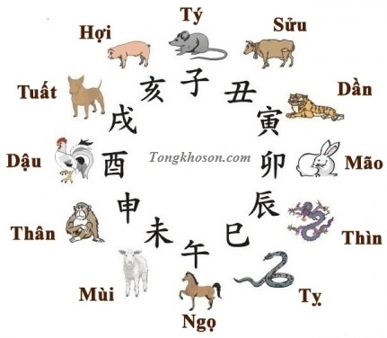 chon-mau-son-nha-theo-phong-thuy-cho-tung-tuoi