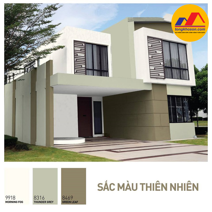 mẫu phối màu số 1