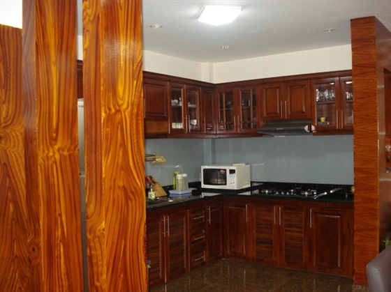 sươn giả gỗ 2