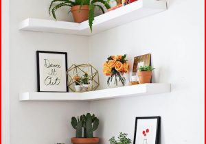 trang trí góc tường bằng các chậu cây xanh