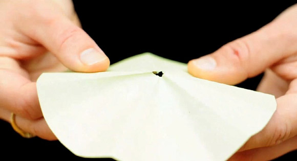 cắt một đường ở đỉnh  chóp 