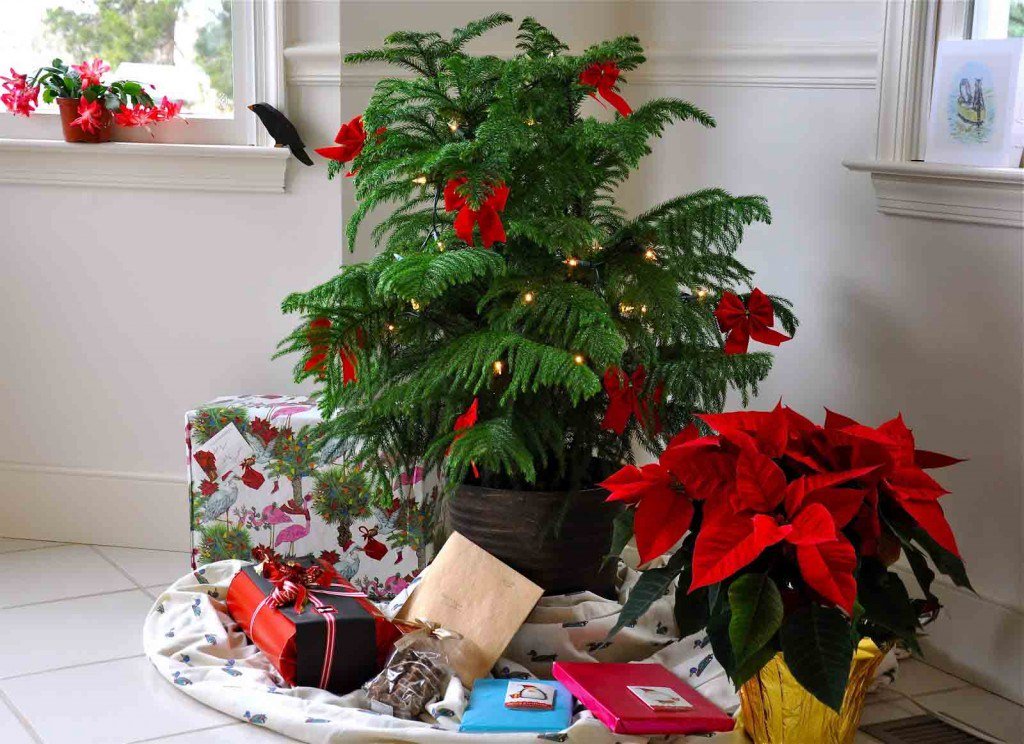 cây thông noel mini