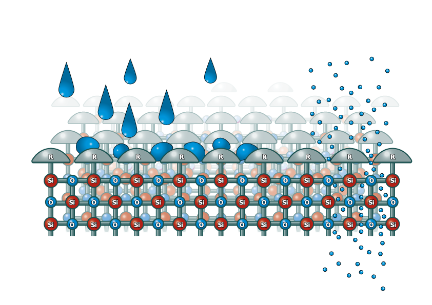 Chống thấm Water Seal DPC