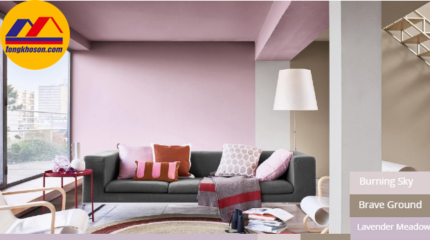 Sơn dulux nhà đẹp1