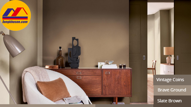 Màu sơn DUlux nhà đẹp 2
