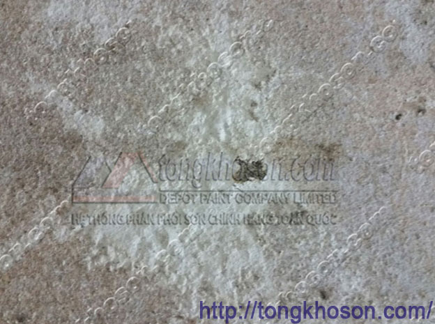 nguyên nhân mốc tường | Tongkhoson.com