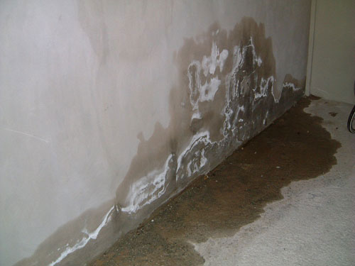 Nấm mốc tại vi trí tường sát nhà bên cạnh mới xây