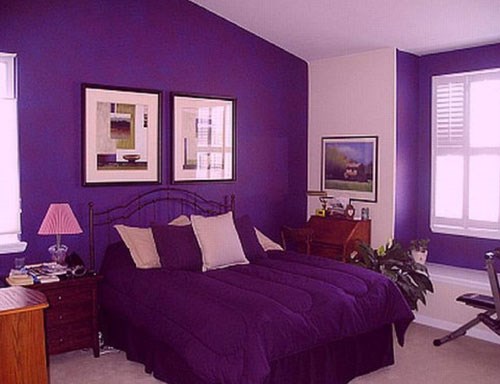 Màu sơn nhà đẹp tím Ultra Violet số 8