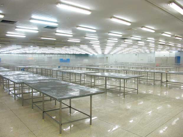 sơn epoxy phòng kháng khuẩn