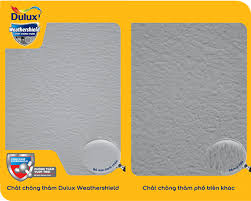 sơn chống thấm Dulux hiệu quả với công nghệ HydroShield