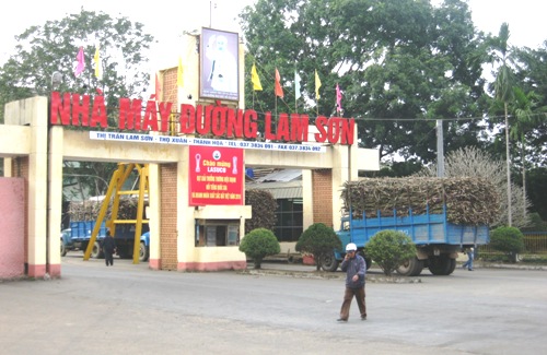 Công Ty Mía Đường Lam Sơn tại Thanh Hóa