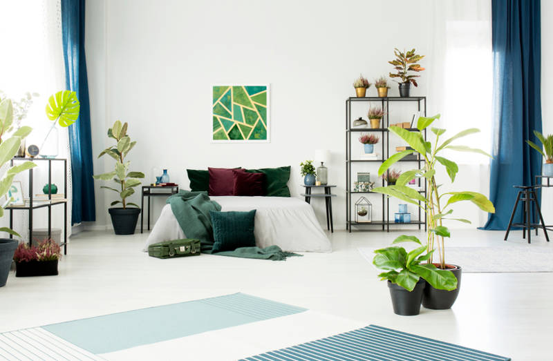 Pantone và xu hướng màu 2020 4
