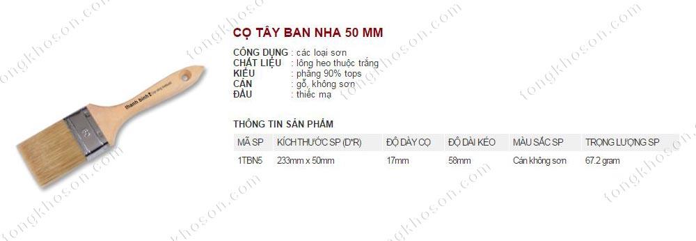 Chổi nhựa Tây ban nha Thanh Bình 50mm