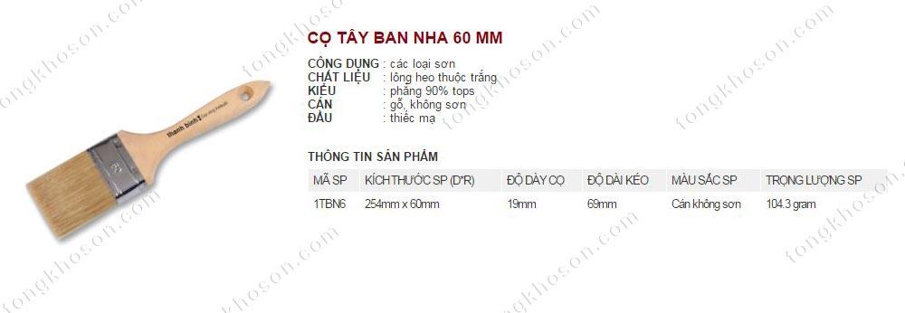 Chổi nhựa Tây ban nha Thanh Bình 60mm