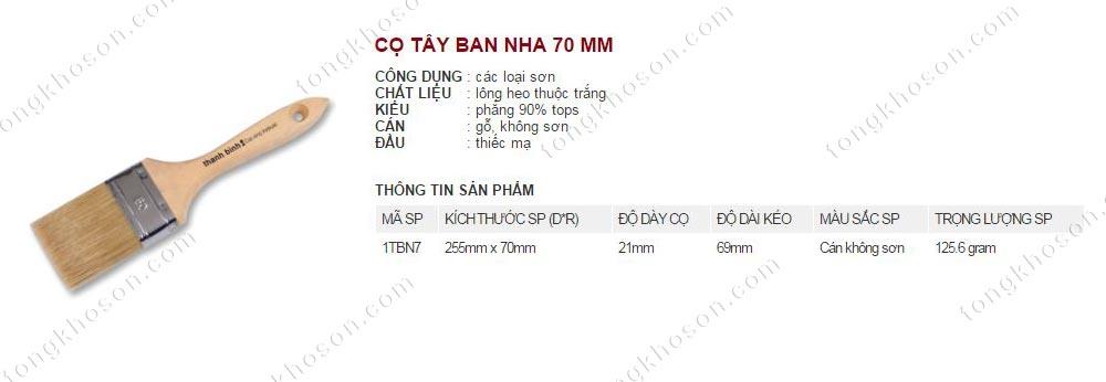 Chổi nhựa Tây ban nha Thanh Bình 70mm