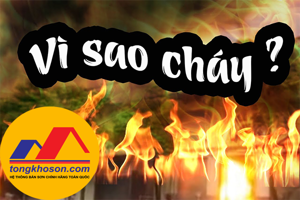 Nguyên nhân xẩy ra cháy