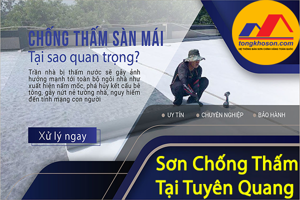 Sơn chống thấm chính hãng tại Tuyên Quang