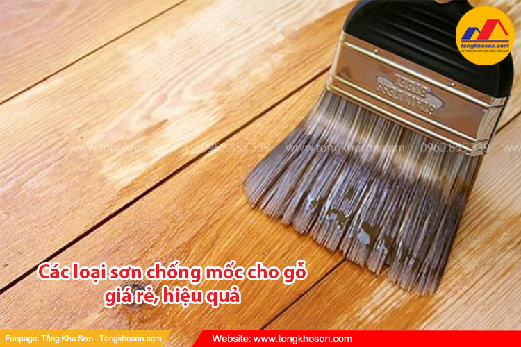 Các loại sơn chống mốc cho gỗ giá rẻ, hiệu quả | Tongkhoson.com