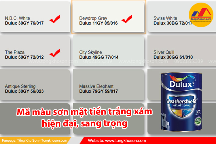 Các mã màu sơn mặt tiền nhà màu trắng xám đẹp, hiện đại