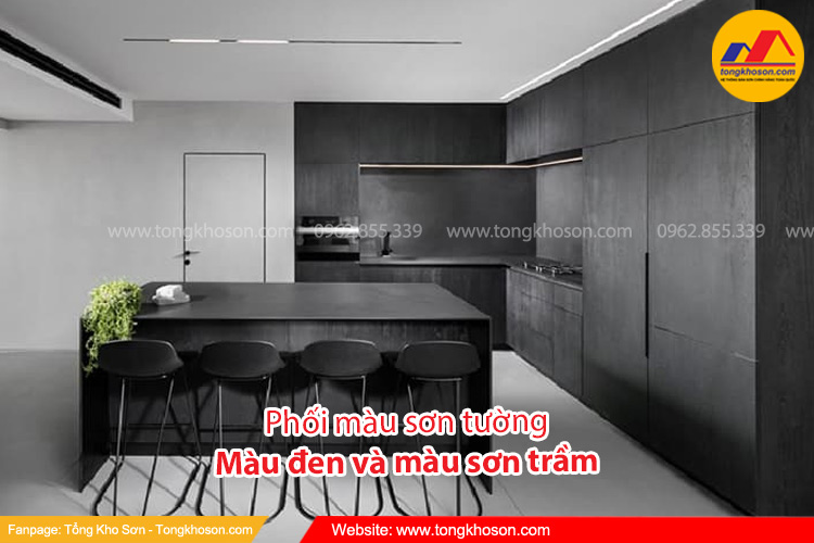 Sơn nhà màu đen kết hợp với các tone màu sơn trầm