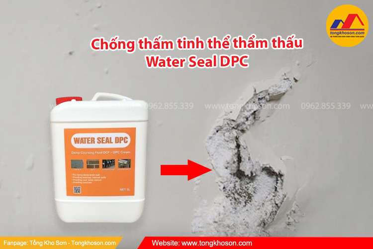 Chống thấm tinh thể thẩm thấu Water Seal DPC cho chân tường