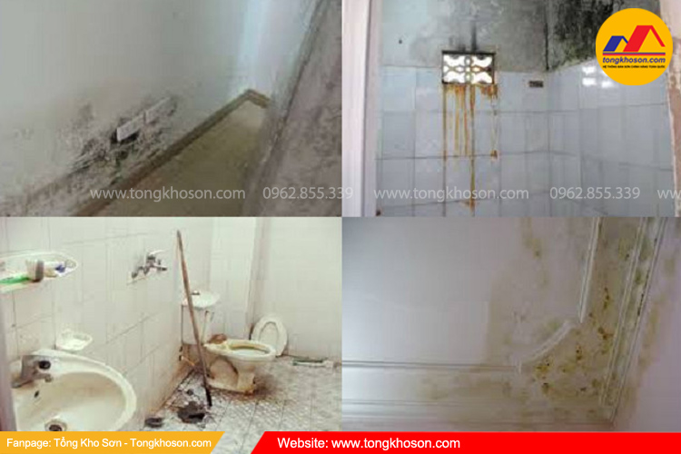 Dấu hiệu nhận biết sàn nhà vệ sinh bị thấm nước