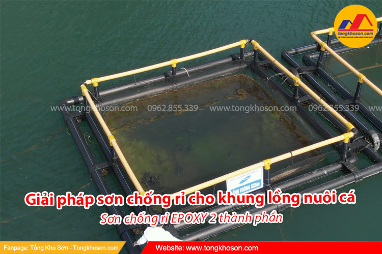 Giải pháp sơn chống rỉ cho khung lồng nuôi cá