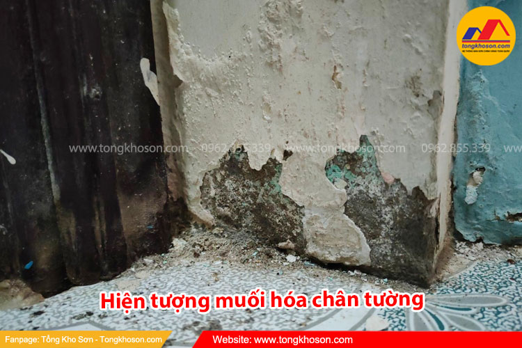 Nguyên nhân gây hiện tượng muối hóa chân tường