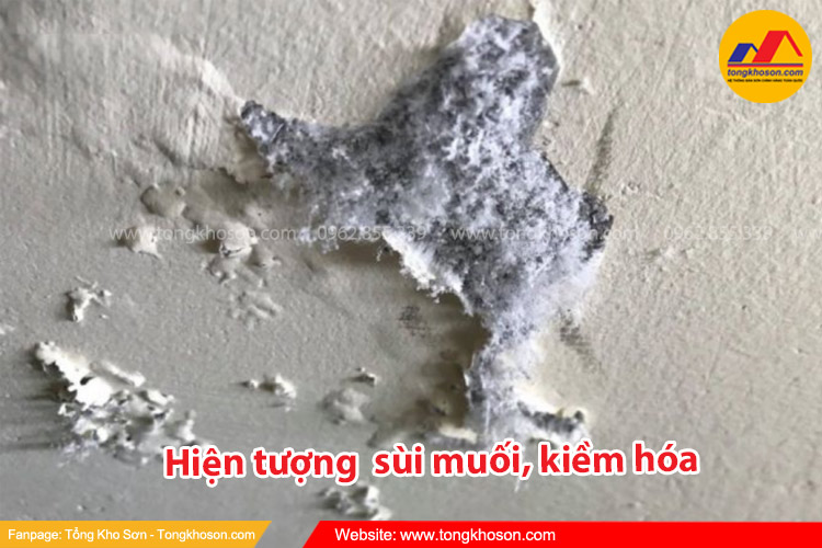 Nhận biết tường nhà bị kiềm hóa, sùi muối