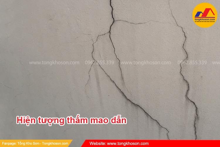 Hiện tượng thấm mao dẫn là gì?