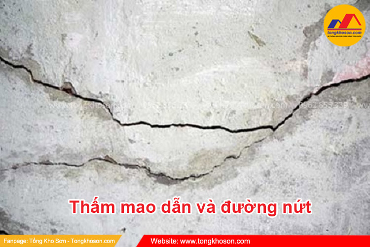 Thấm mao dẫn là gì? Nguyên nhân thấm mao dẫn