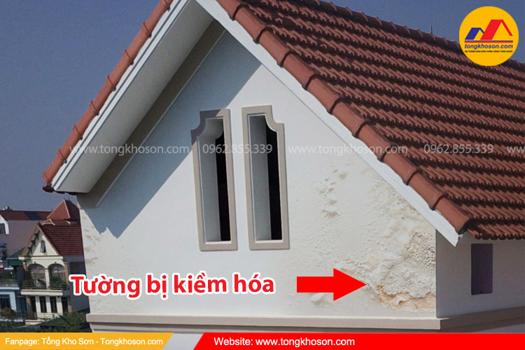 Nguyên nhân hiện tượng tường bị kiềm hóa