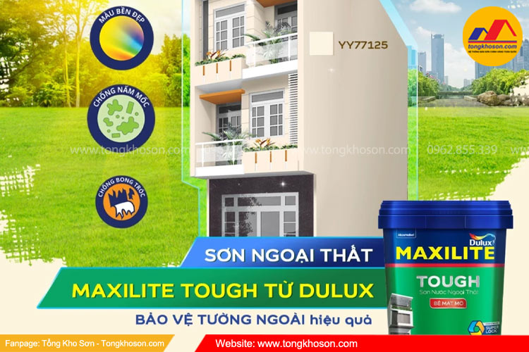 Khu vực miền Bắc nên sử dụng hãng sơn nào? - Maxilite