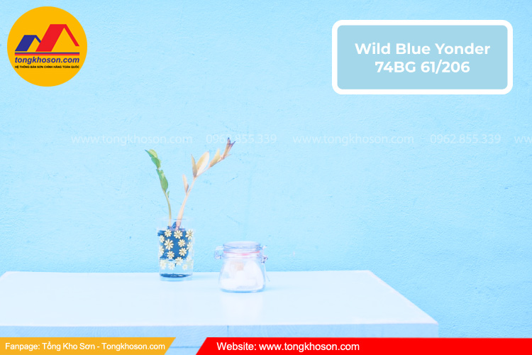 Mã màu sơn Dulux trong nhà đẹp - WILD BLUE YONDER 74BG 61/206