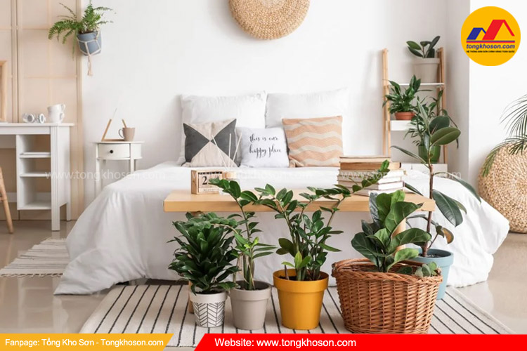 Các màu sơn nhà đẹp được ưa chuộng năm 2025