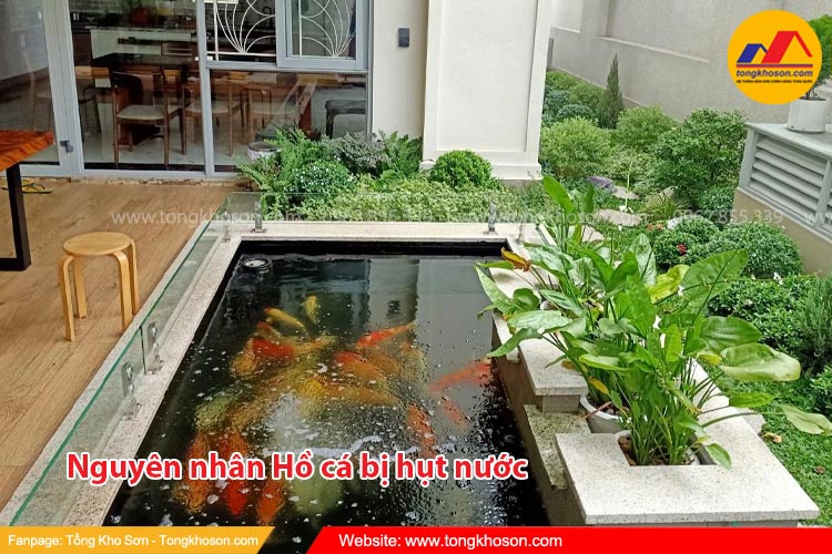 Nguyên nhân khiến cho hồ cá bị hụt nước