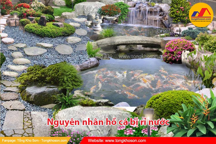 Nguyên nhân bị rò rỉ nước hồ cá