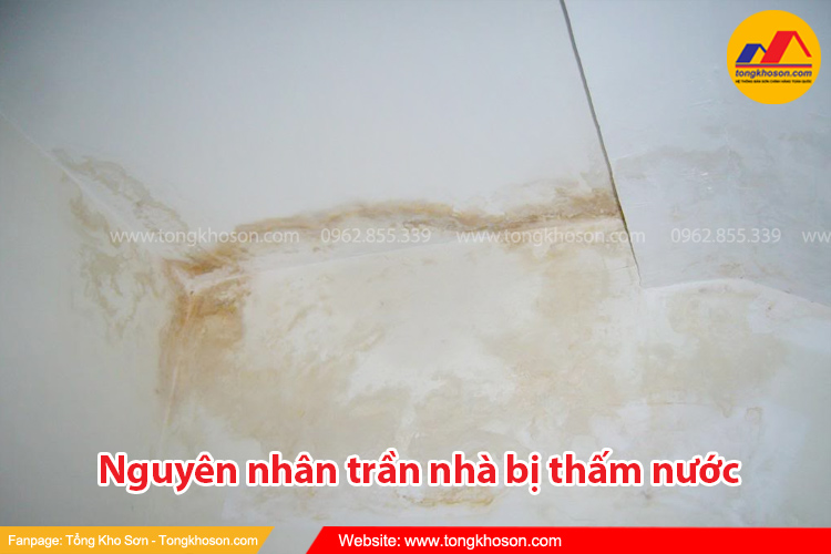 Nguyên nhân khiến trần nhà bị thấm nước