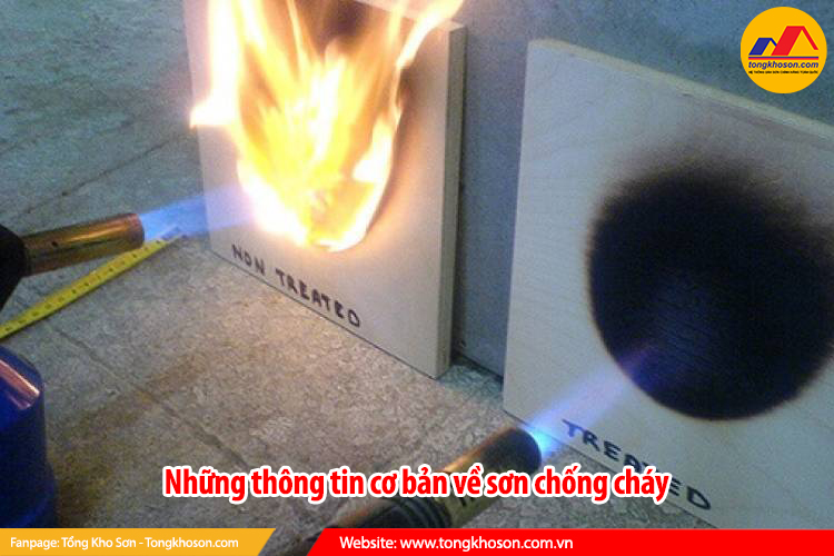 Những thông tin cơ bản về sơn chống cháy