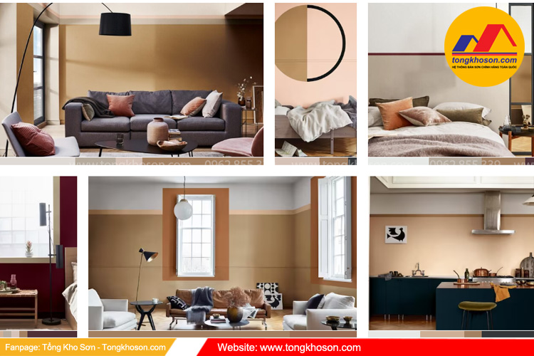 Phối màu sơ Dulux năm 2019