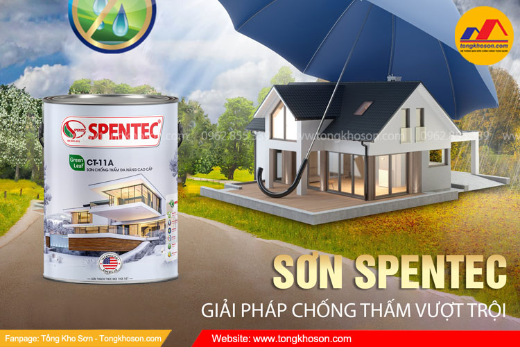 Thi công sơn chống thấm Spentec