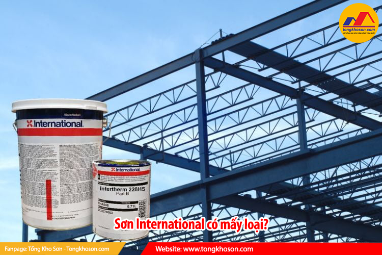 Sơn International có mấy loại?