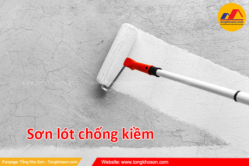 Nên lựa chọn sơn lót chống kiềm ra sao?