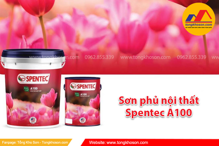 Sơn phủ nội thất Spentec A100
