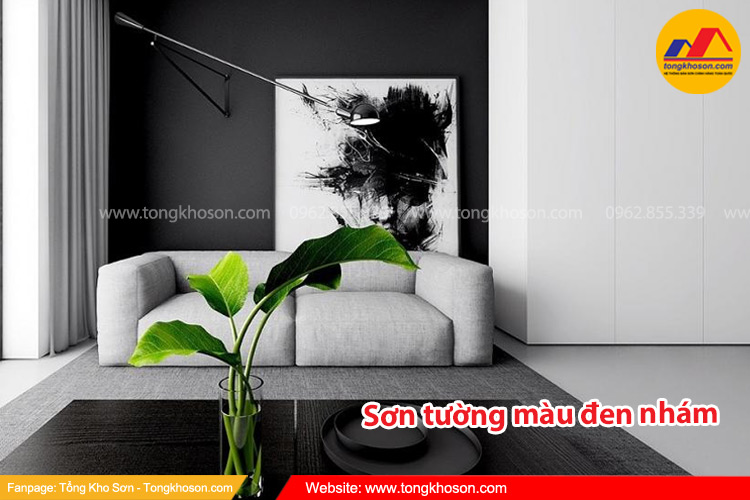 Sơn tường màu đen nhám