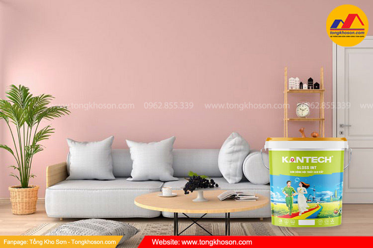 Xu hướng màu sắc sơn Kantech màu hồng thạch